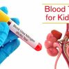 Kidney Function Test